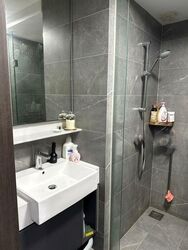 Riverfront Residences (D19), Apartment #463192491